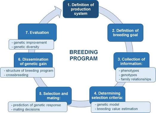 BREEDING SUCCESS DEPENDS ON THESE THREE CRITICAL STEPS